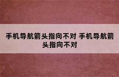 手机导航箭头指向不对 手机导航箭头指向不对